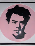 10) Harry Styles Framed Vinyl Art 12”