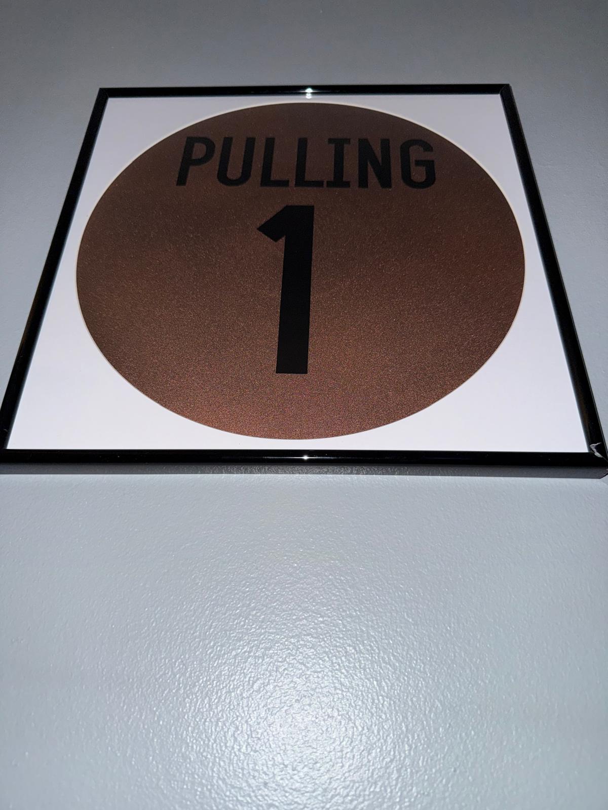 115) Abbi Pulling Framed Vinyl Art 12”