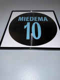 116) Viv Miedema Framed Vinyl Art 12”