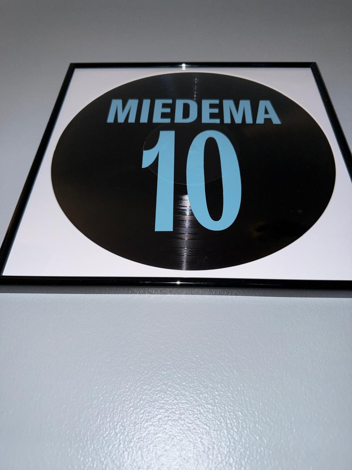 116) Viv Miedema Framed Vinyl Art 12”