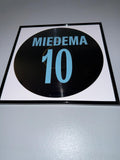 117) Viv Miedema Framed Vinyl Art 12”