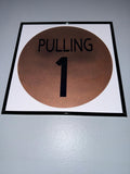 122) Abbi Pulling Framed Vinyl Art 12”