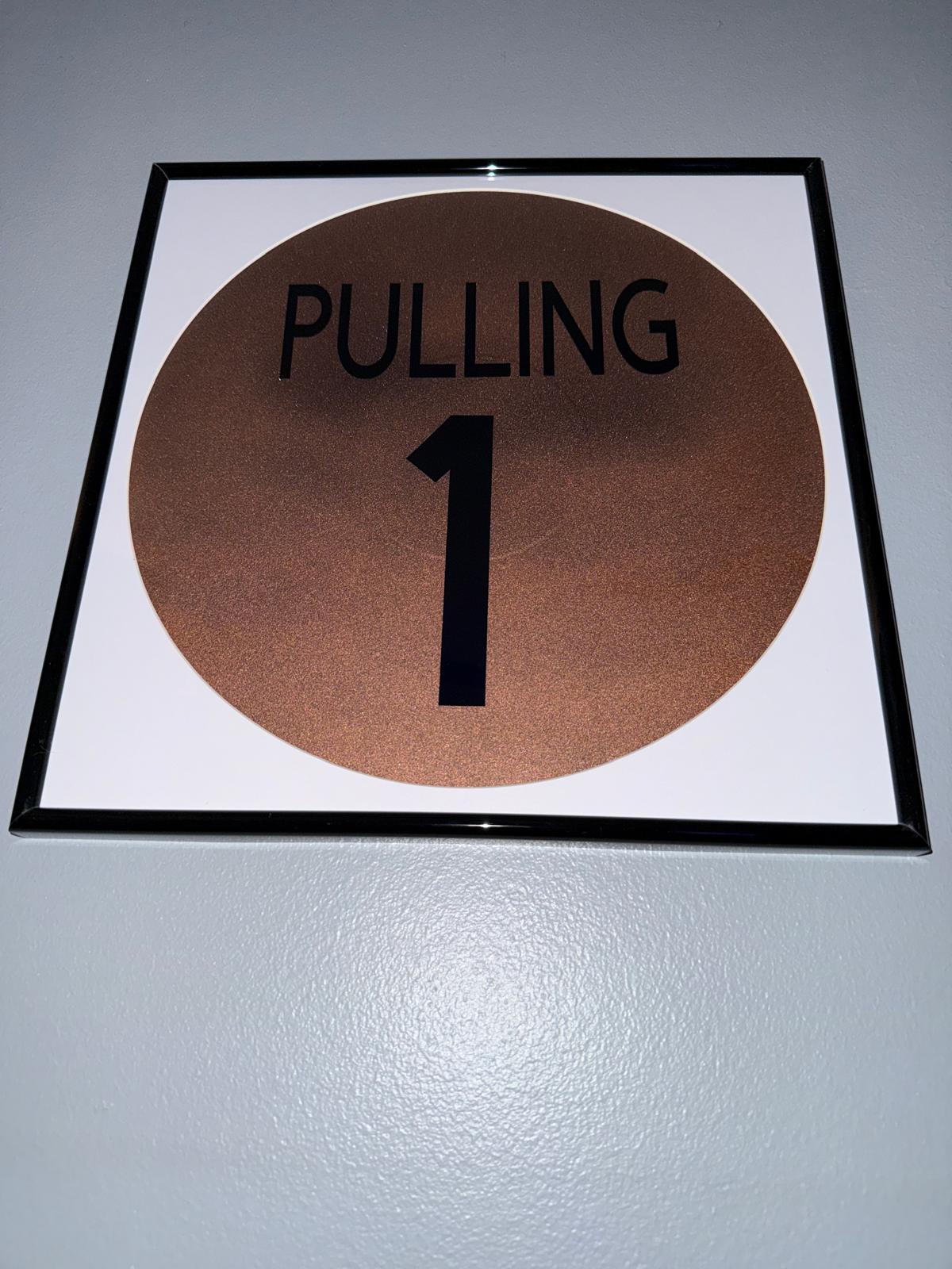 122) Abbi Pulling Framed Vinyl Art 12”