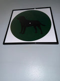 153) Dog Framed Vinyl Art 12”