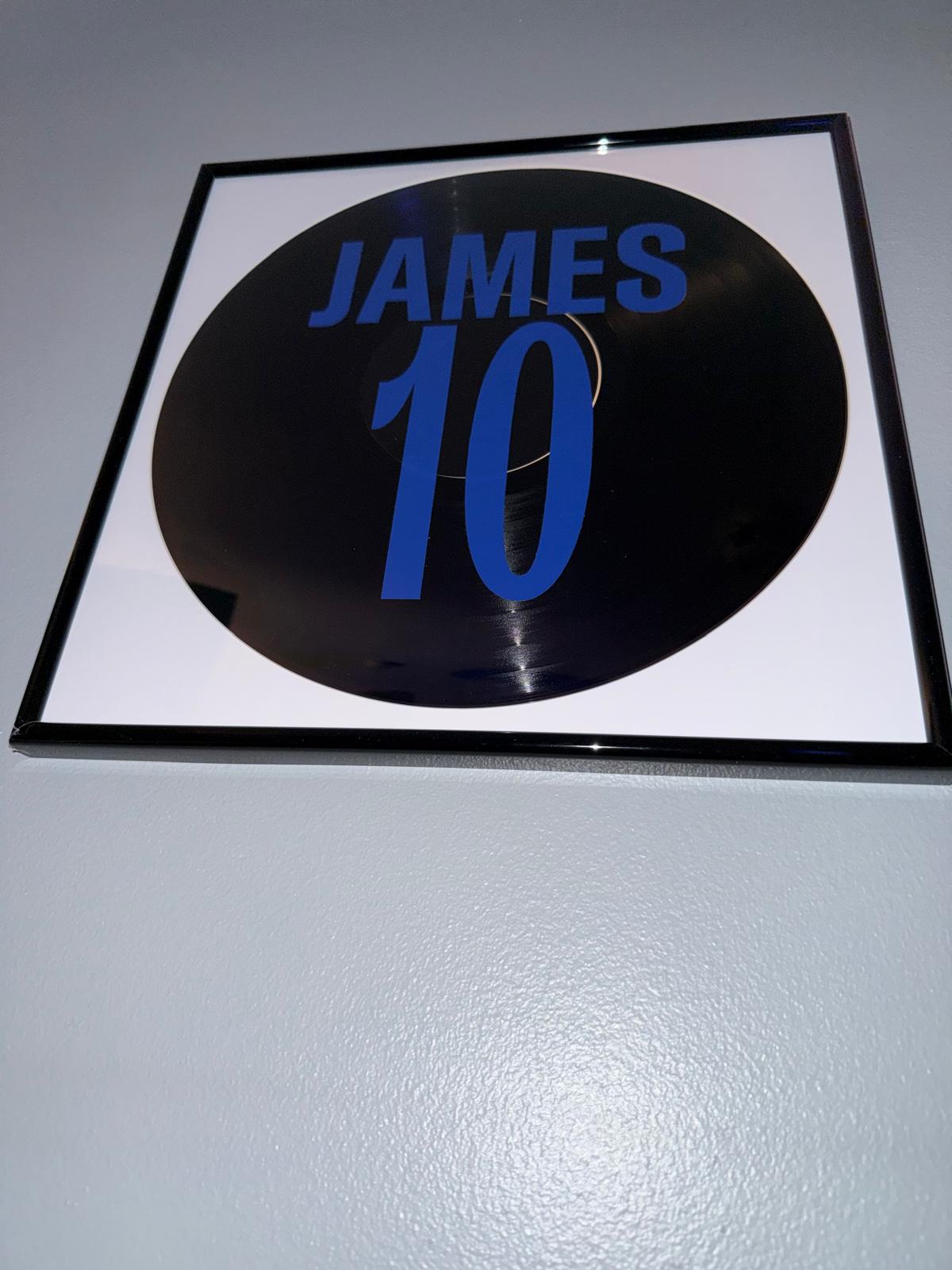 171) Lauren James Framed Vinyl Art 12”