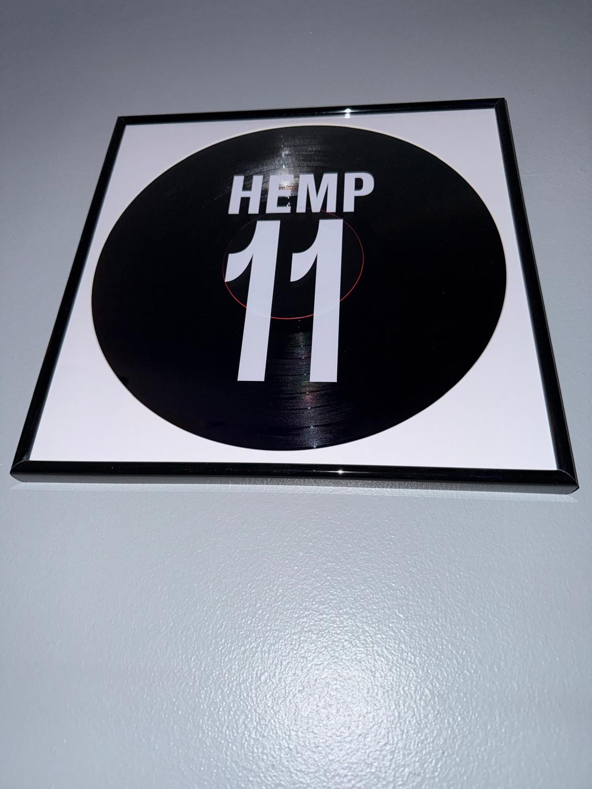174) Lauren Hemp Framed Vinyl Art 12”