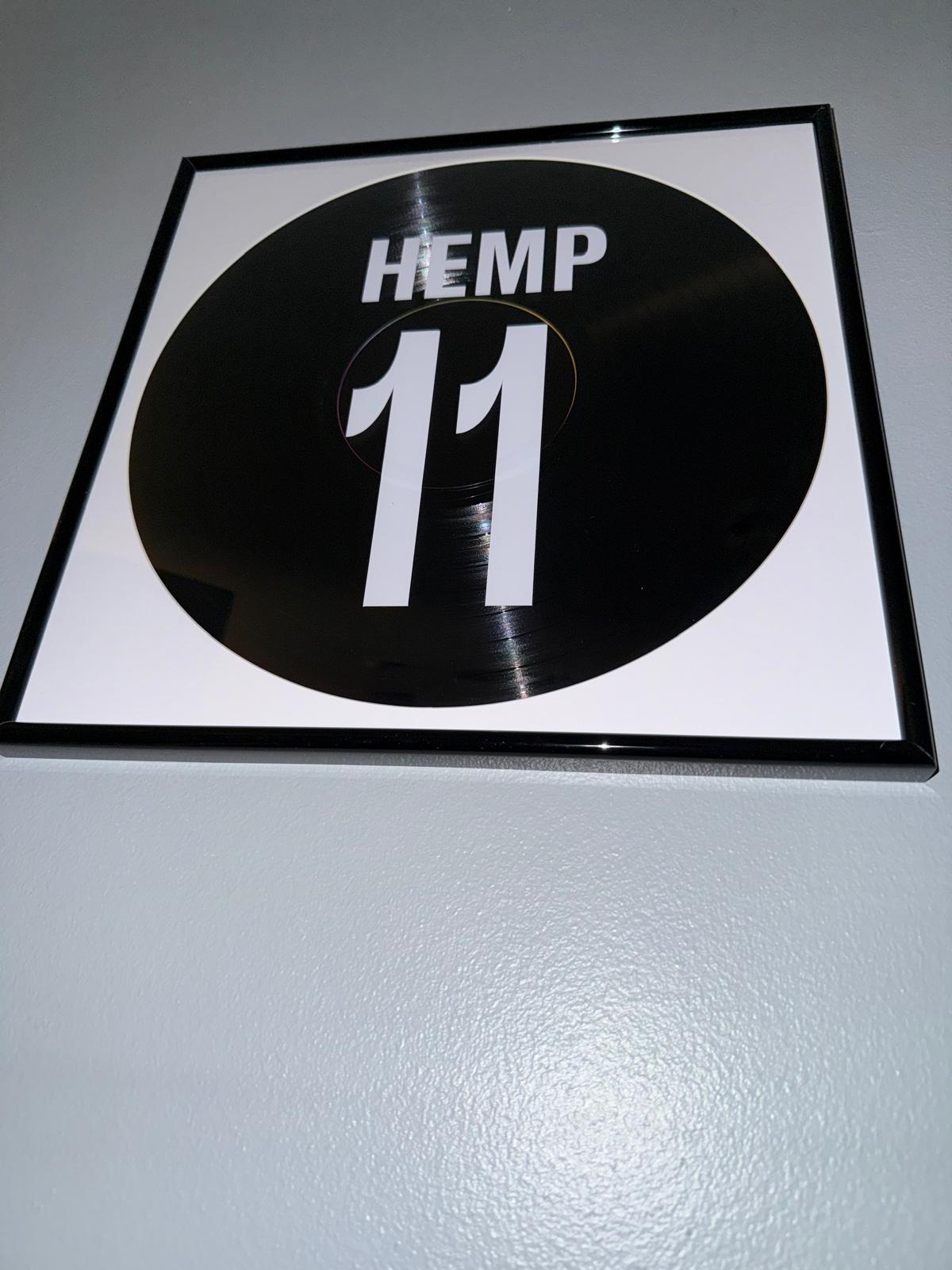 175) Lauren Hemp Framed Vinyl Art 12”
